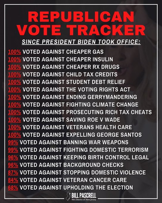 U. S. 2024 Presidential Elections, would you vote for a Democrat or a Republican?