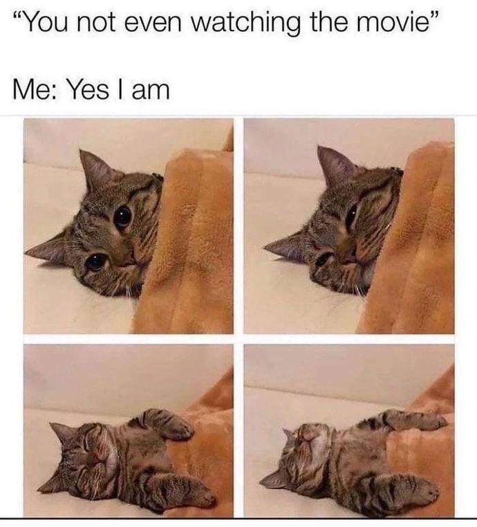 do you watch the whole movie without sleeping?