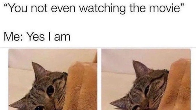 Do you sleep during movies? Does watching movies make you sleepy?
