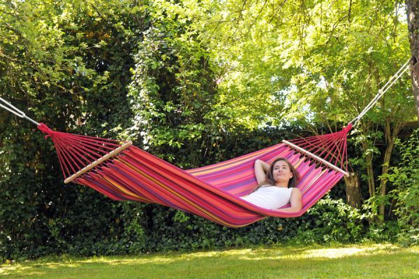 Aren't hammocks more sanitary than mattresses?