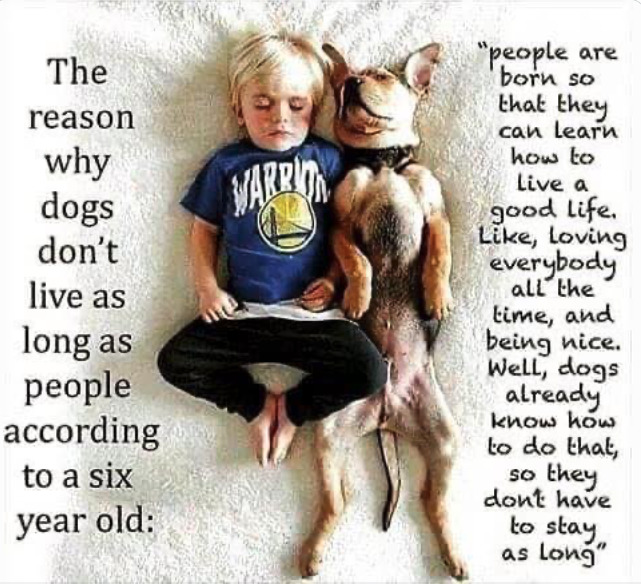 Maybe us humans could learn a thing or two- or three - - - - -