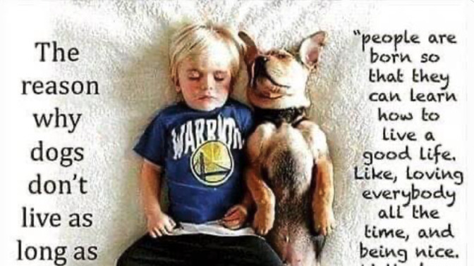 Maybe our pets know something that we don't. Thoughts?