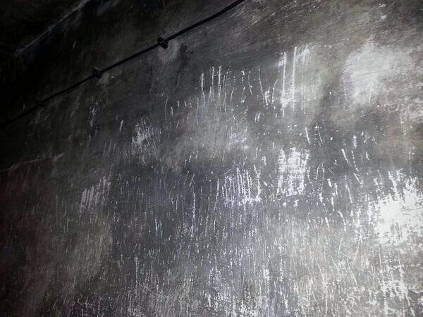 Nails scratches in torture gas chambers where people stepped over eachothers to breath 