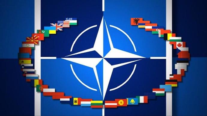 Should NATO become a global organization to protect democracy and freedom?