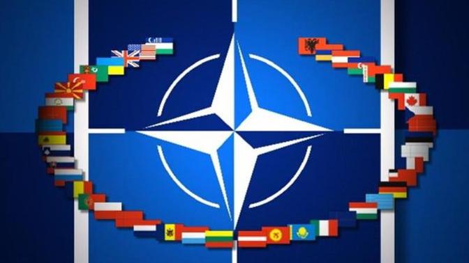 Should NATO become a global organization to protect democracy and freedom?