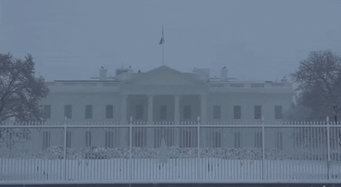 What are your thoughts about secret service finding cocaine in the White House?