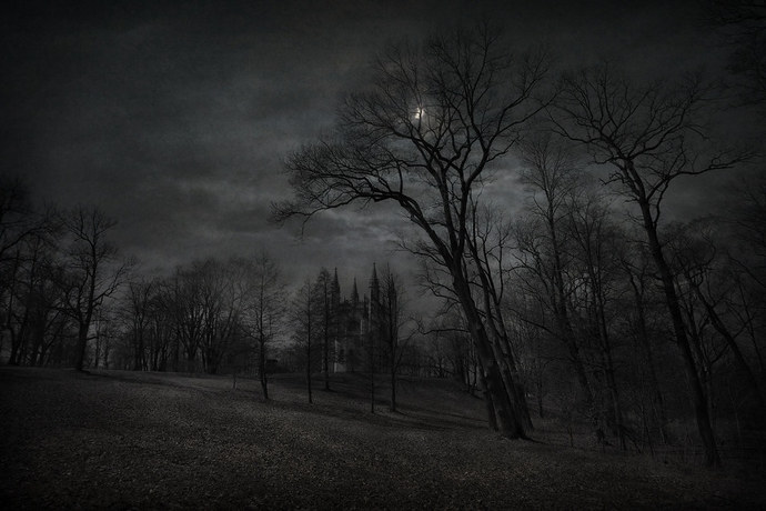 Do you like the daytime or night time better?