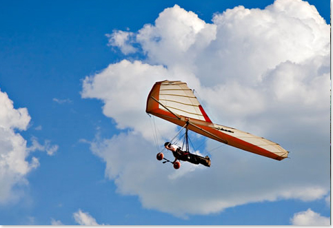 Which would you rather?