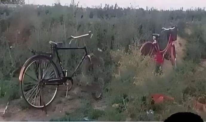Can you tell why these bycycle are standing in bushes?