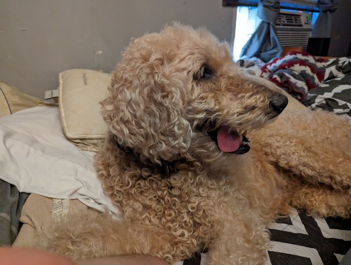 What are some bad things going on in your life right now?