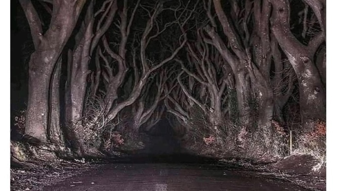 You have to walk through this to save your love ones’ life, WYD?