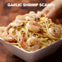 What meal sounds best for dinner tonight?