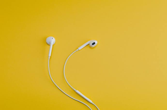 What headphones/earphones do you listen to music through?