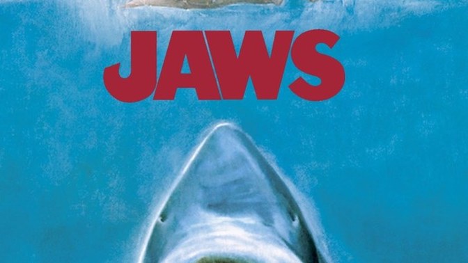 Why so many shark attacks?