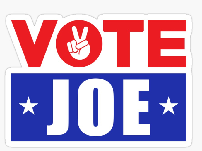 Democrats who are you more likely to vote for out of these 5 ?