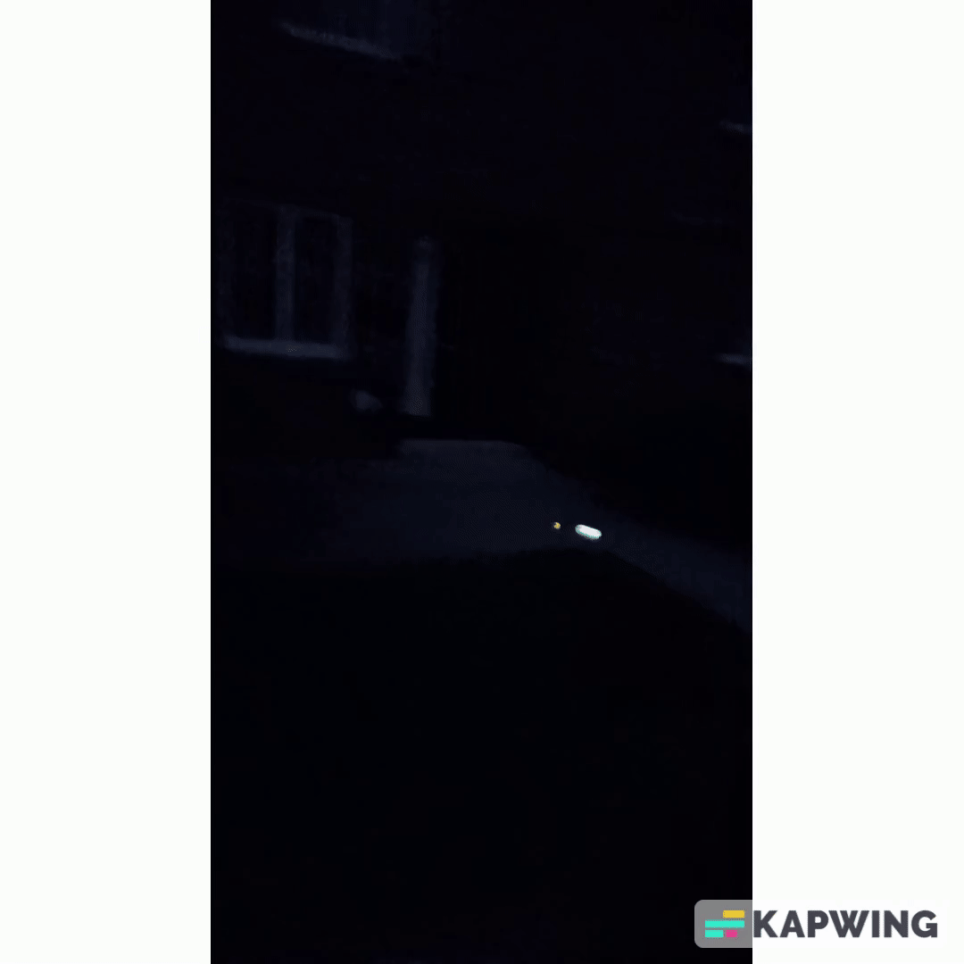 How come nobody likes fireflies?