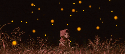 How come nobody likes fireflies?