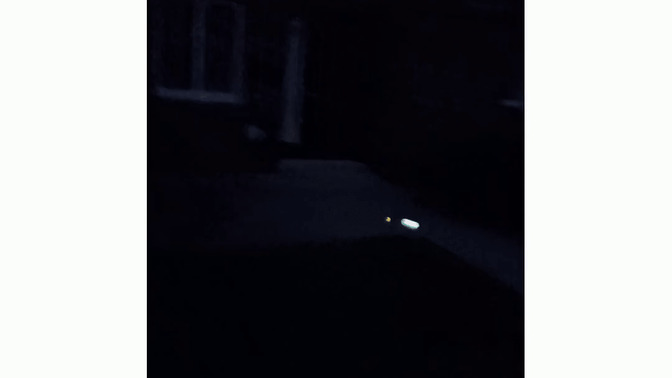 How come nobody likes fireflies?