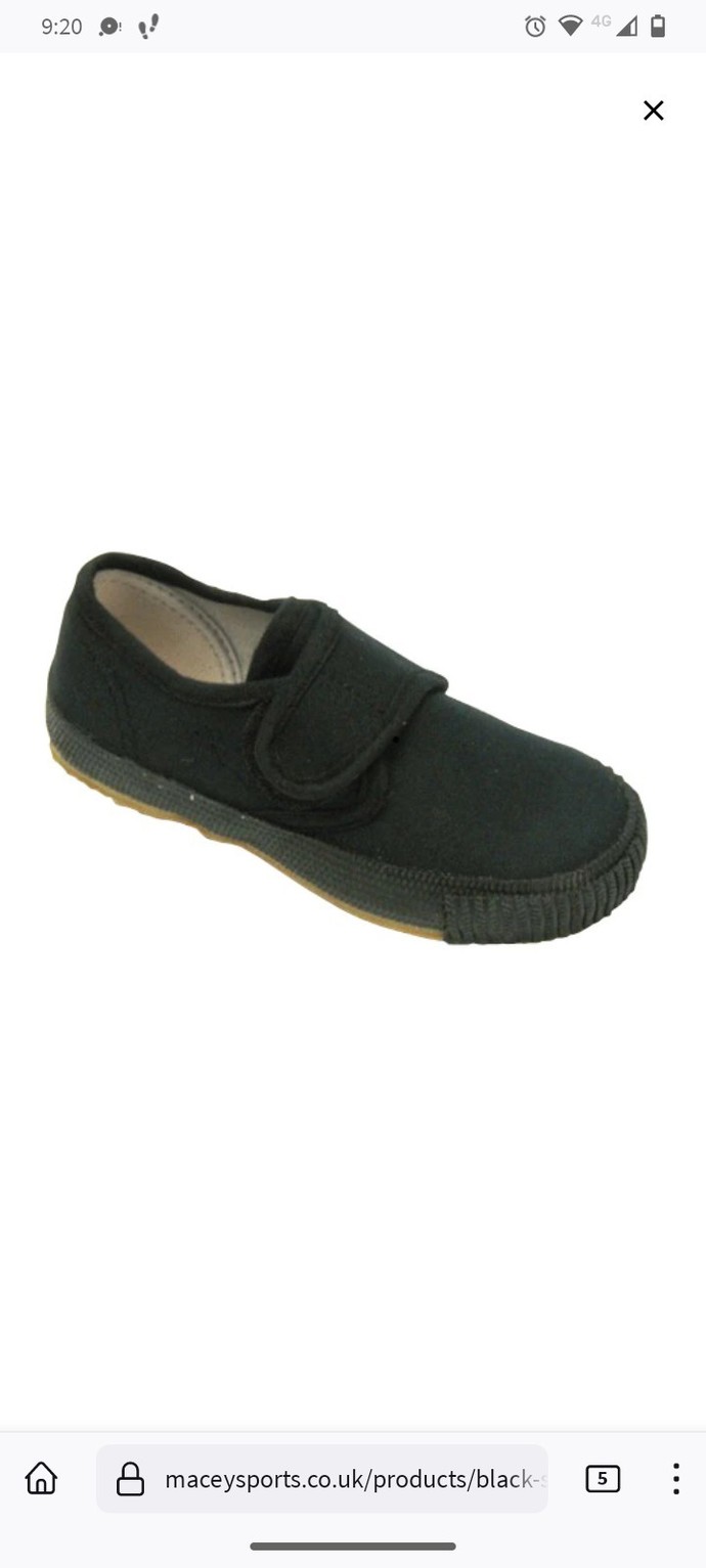 This type of footwear has 20 odd different names, what do you call it?