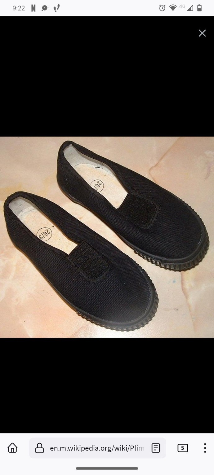 This type of footwear has 20 odd different names, what do you call it?
