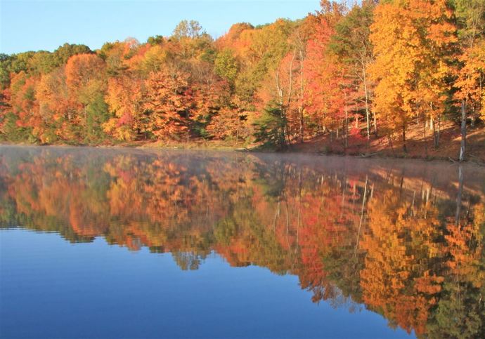 Which of the states listed would you prefer to live in the most?