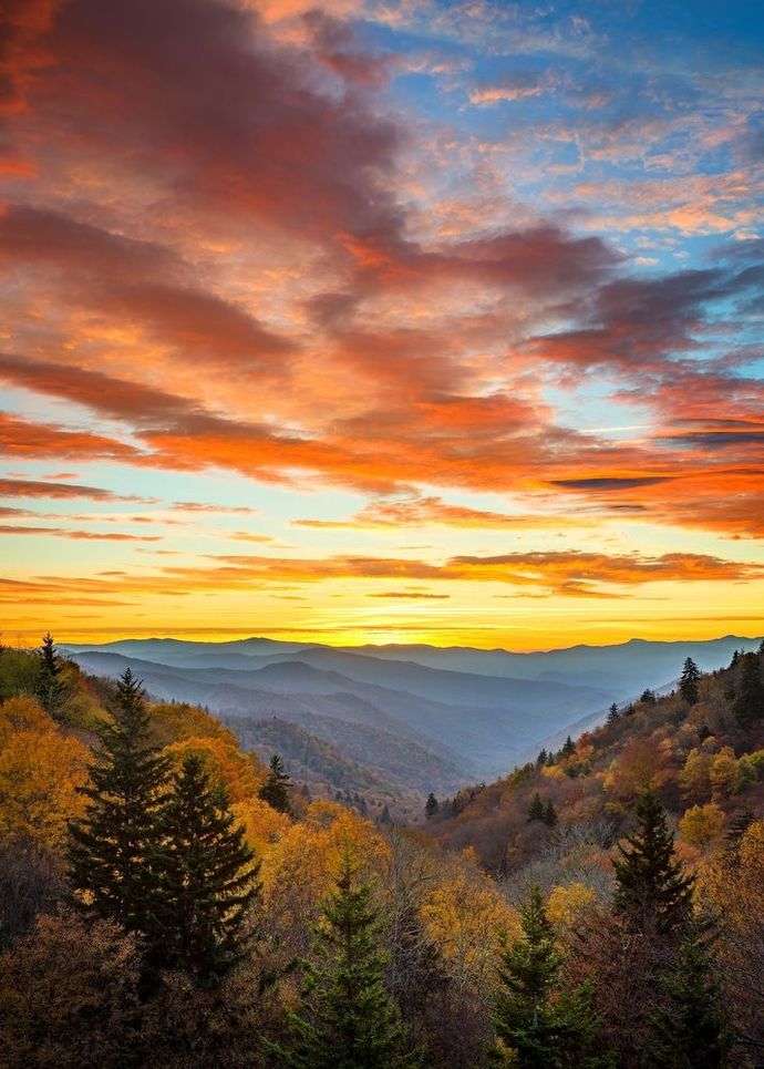 Which of the states listed would you prefer to live in the most?