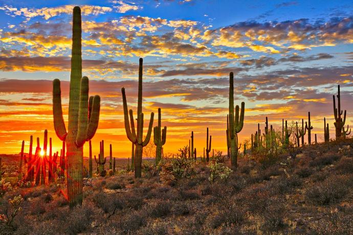 Which of the states listed would you prefer to live in the most?