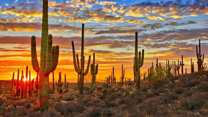Which of the states listed would you prefer to live in the most?