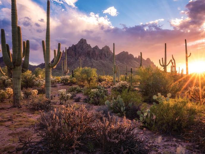 Out of the two, where would you choose to go on vacation, Vegas or New York?