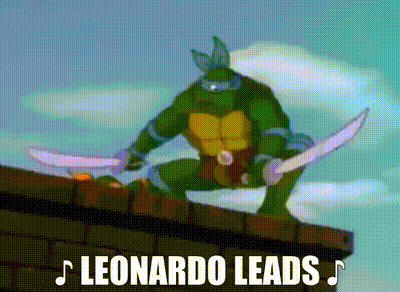 Which of the four ninja turtles personalities do you relate to more?