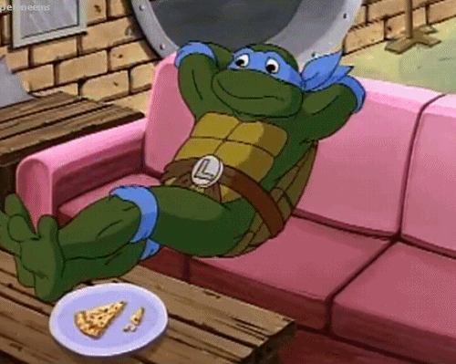 Which of the four ninja turtles personalities do you relate to more?