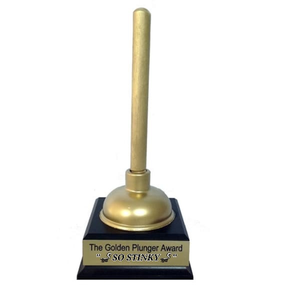 Silly question! Do you sanitize your plunger after use?