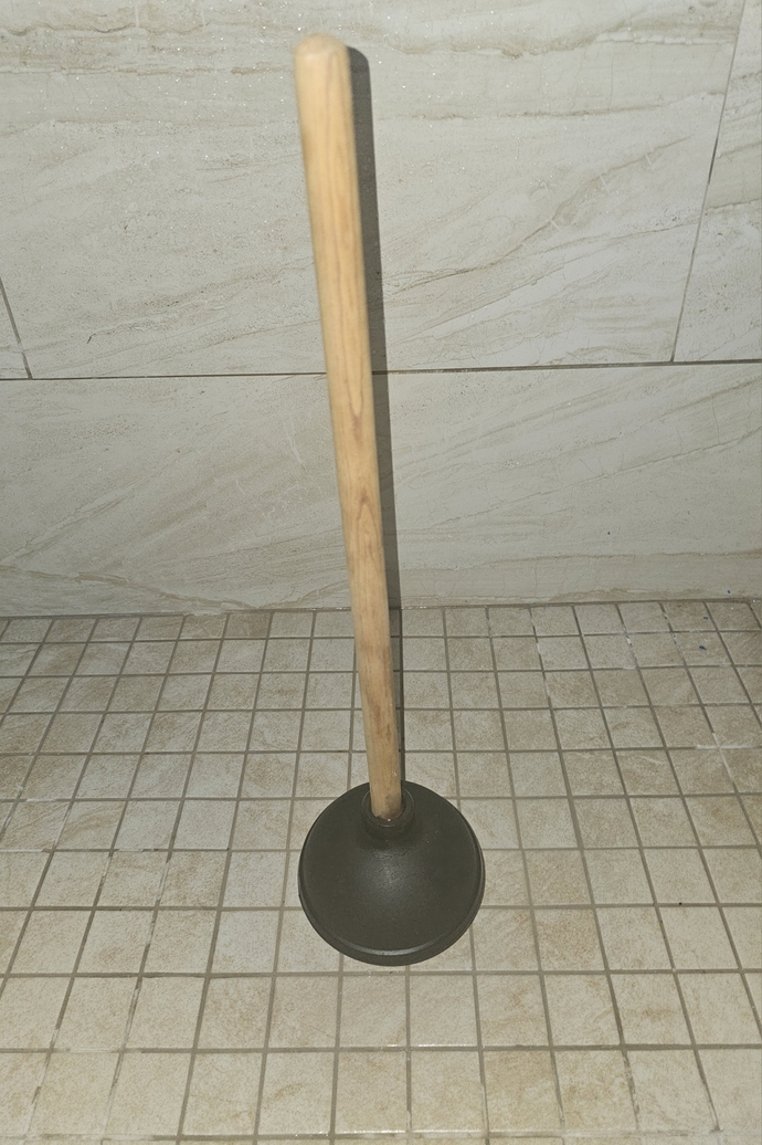 Silly question! Do you sanitize your plunger after use?