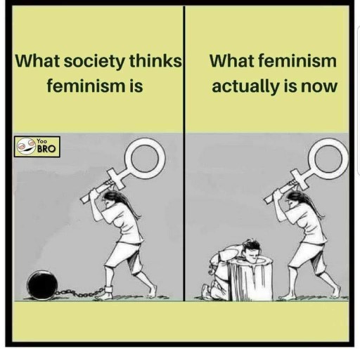 Is the reason some guys dislike feminism because they are uncomfortable with conscious, powerful women who are less likely to be manipulated?🤨?