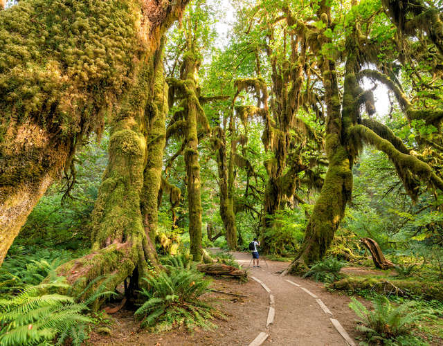 Which tourist attraction would you want to see the most ?