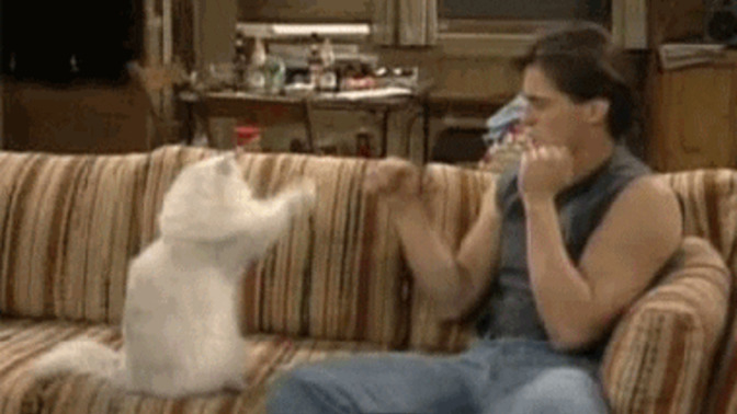 Why do some men let their sister beat them in fights? Women do you think you could beat your brother?