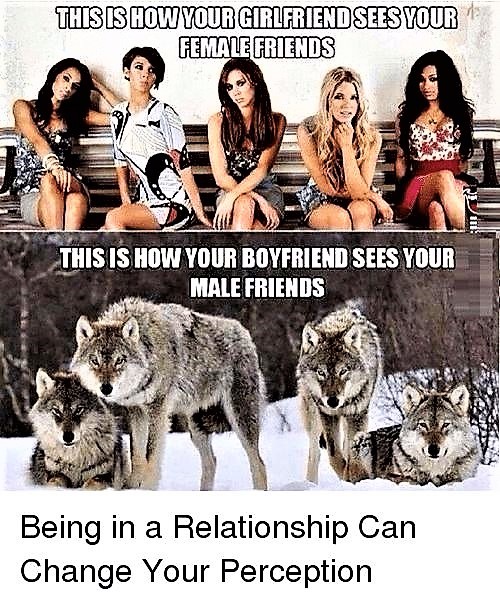 Do you think all men are wolf in a sheep’s clothing?