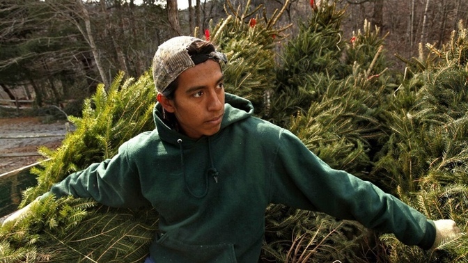 Why are Hispanics so hard working but so poor at the same time?