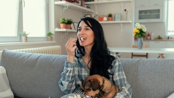 Are you a homebody? Why or why not?