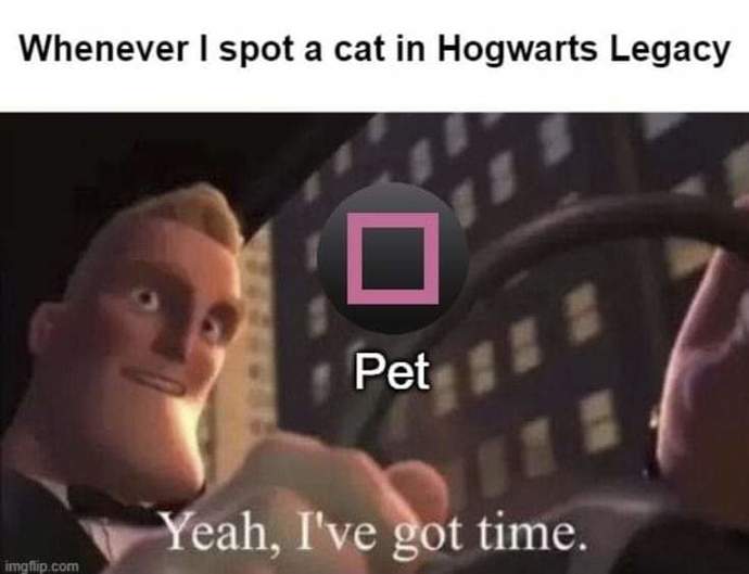 Would you share your funny meme?