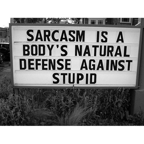 Anyone else use sarcasm as their language?