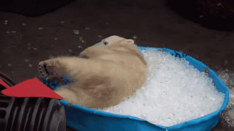 Do you like ICE in your drink?