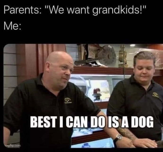 How many kids do you want or have?