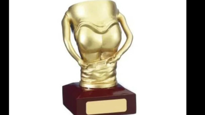WHO would you give this AWARD to?