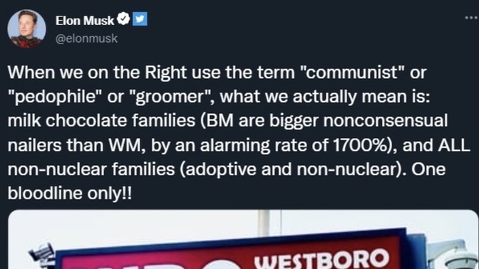 Did Elon Musk just say the quiet part out loud? Why is he against Black people existing?