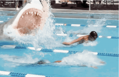 Do you have now, or ever had a swimming pool?