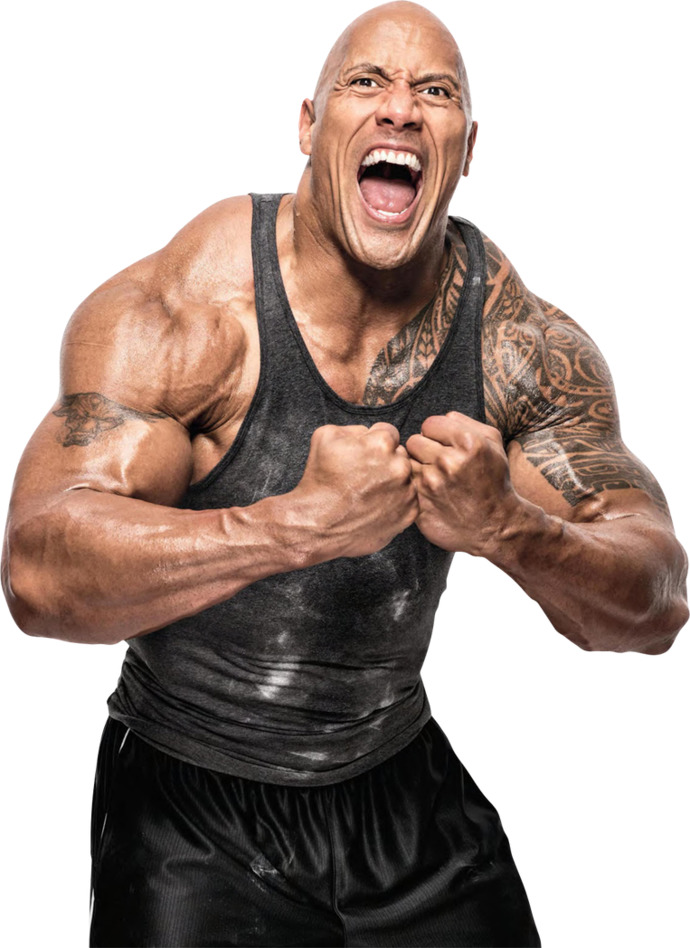 Would you let The Rock punch you in the face?