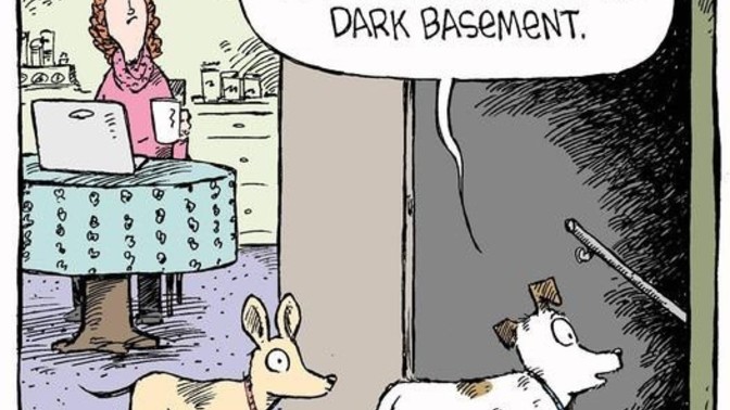 Does your dog ever stare at nothing?
