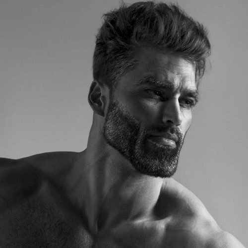 Ladies, which type of facial hair do you prefer in Men?