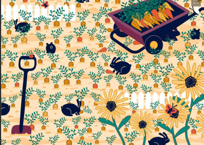 Can you find the hidden ring under 40 seconds?